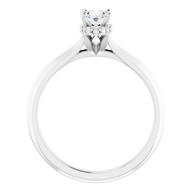 Hidden Halo-Style Engagement Ring or Band
